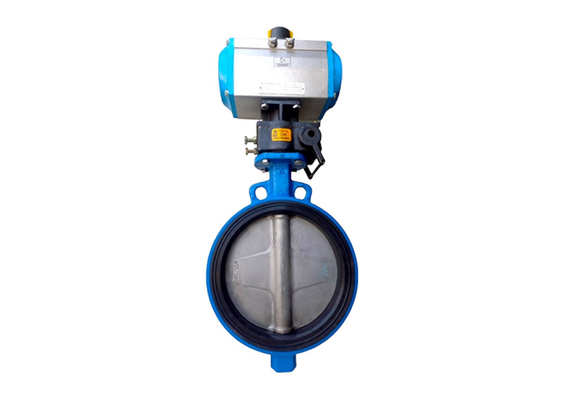 Butterfly Valve 100 V2FS